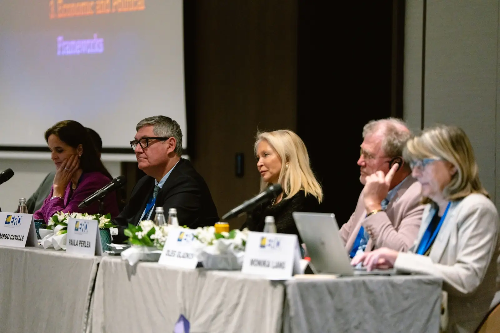 A moment from the ERO Plenary Session in Sofia — photograph 21